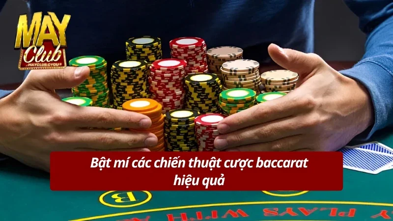 Bật mí các chiến thuật cược baccarat online hiệu quả