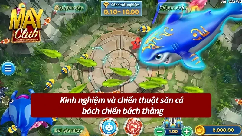 Việc nắm vững chiến thuật giúp bạn tối ưu hóa lợi nhuận và làm chủ đại dương