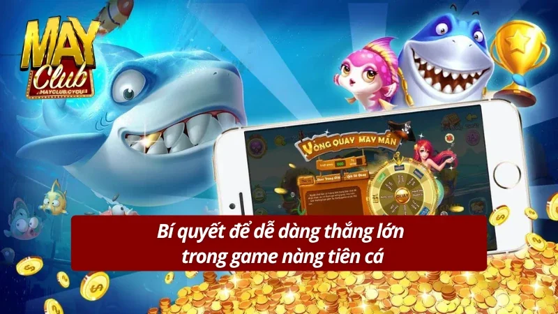 Những bí quyết chơi nàng tiên cá đỉnh cao