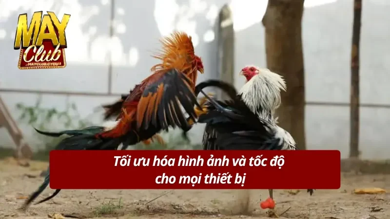 Đồ họa tuyệt đỉnh đến từ MAYCLUB