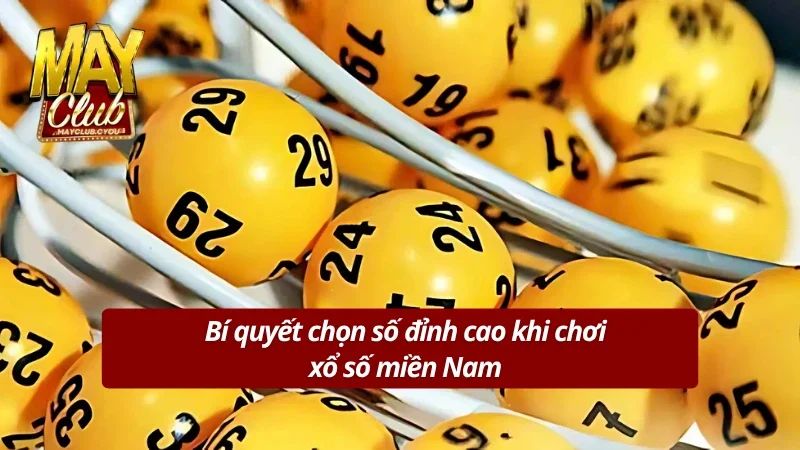 Những bí quyết lựa chọn con số đẹp nhất từ cao thủ